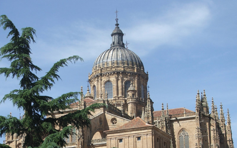 Cathédrale de Salamanca sur la Via de la Plata