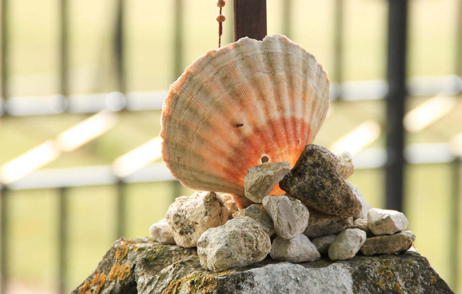 coquille-cqueric-kchemineau