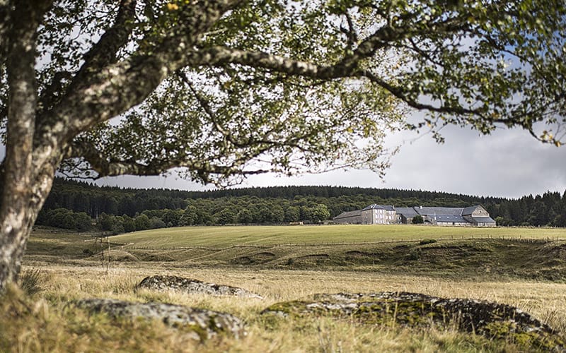 Le domaine du Sauvage en Margeride - TVattard