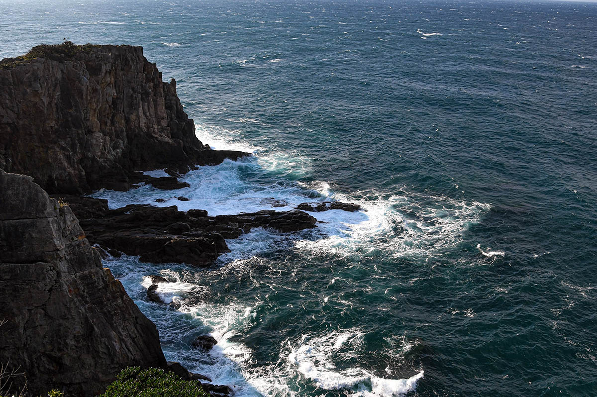 Sur le Kumano Kodo sur la côte japonaise - Chingying-Liu-Unsplash