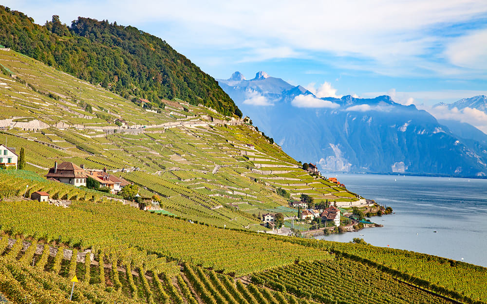 Le lac Léman, point de départ du chemin de Genève - AdobeStock - Swisshipo