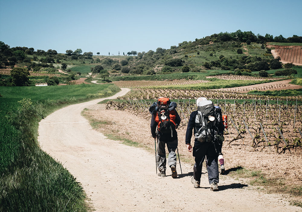 Pèlerins sur le camino Francés après Logrono - DPradon