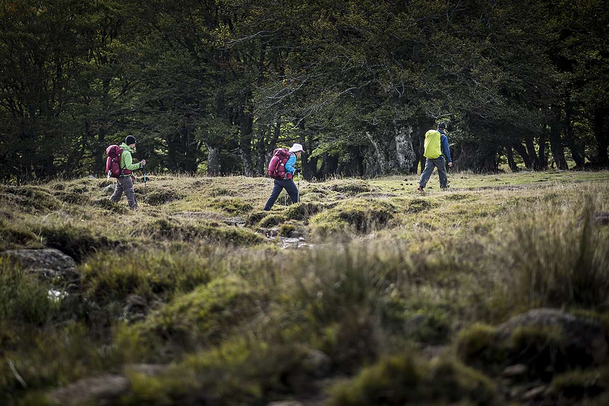 Marcheurs dans l'Aubrac sur le chemin de Compostelle - TVattard