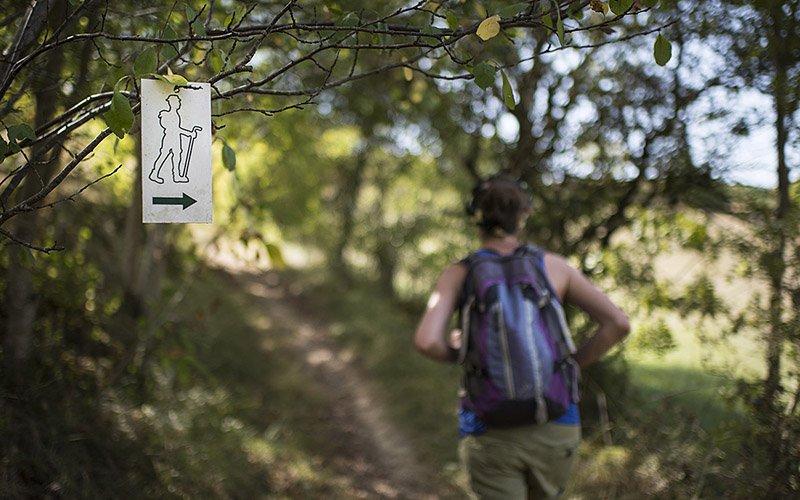 Panneau vers Compostelle - TVattard