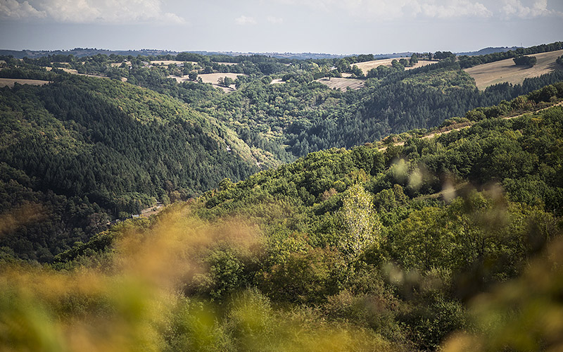 Le plateau du Quercy sur les chemins de Compostelle - TVattard