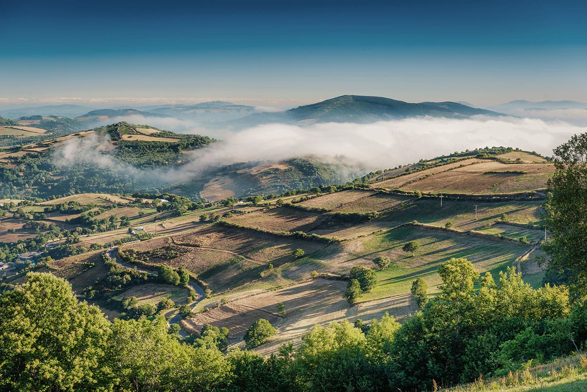 Collines verdoyantes de la Galice en Espagne