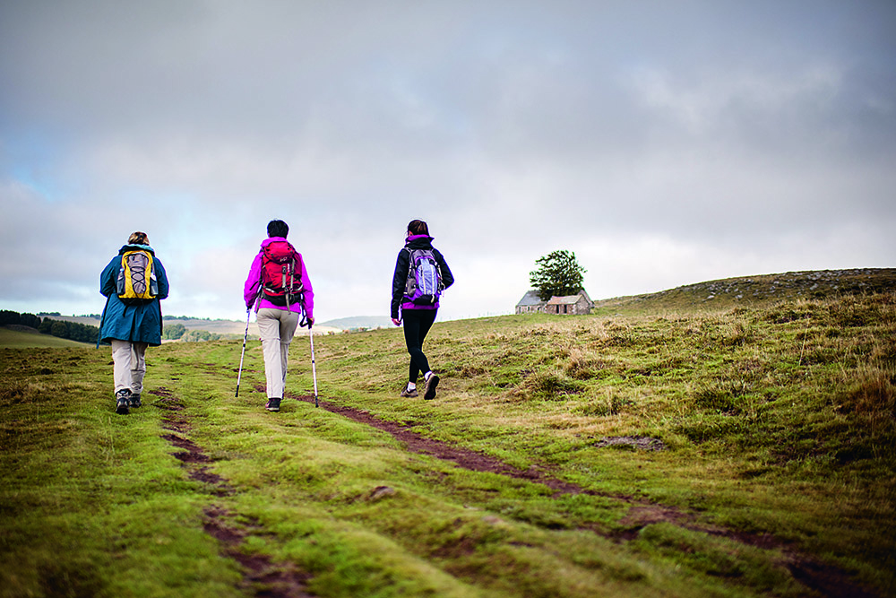 Pèlerins sur le chemin de Compostelle dans l'Aubrac - TVattard