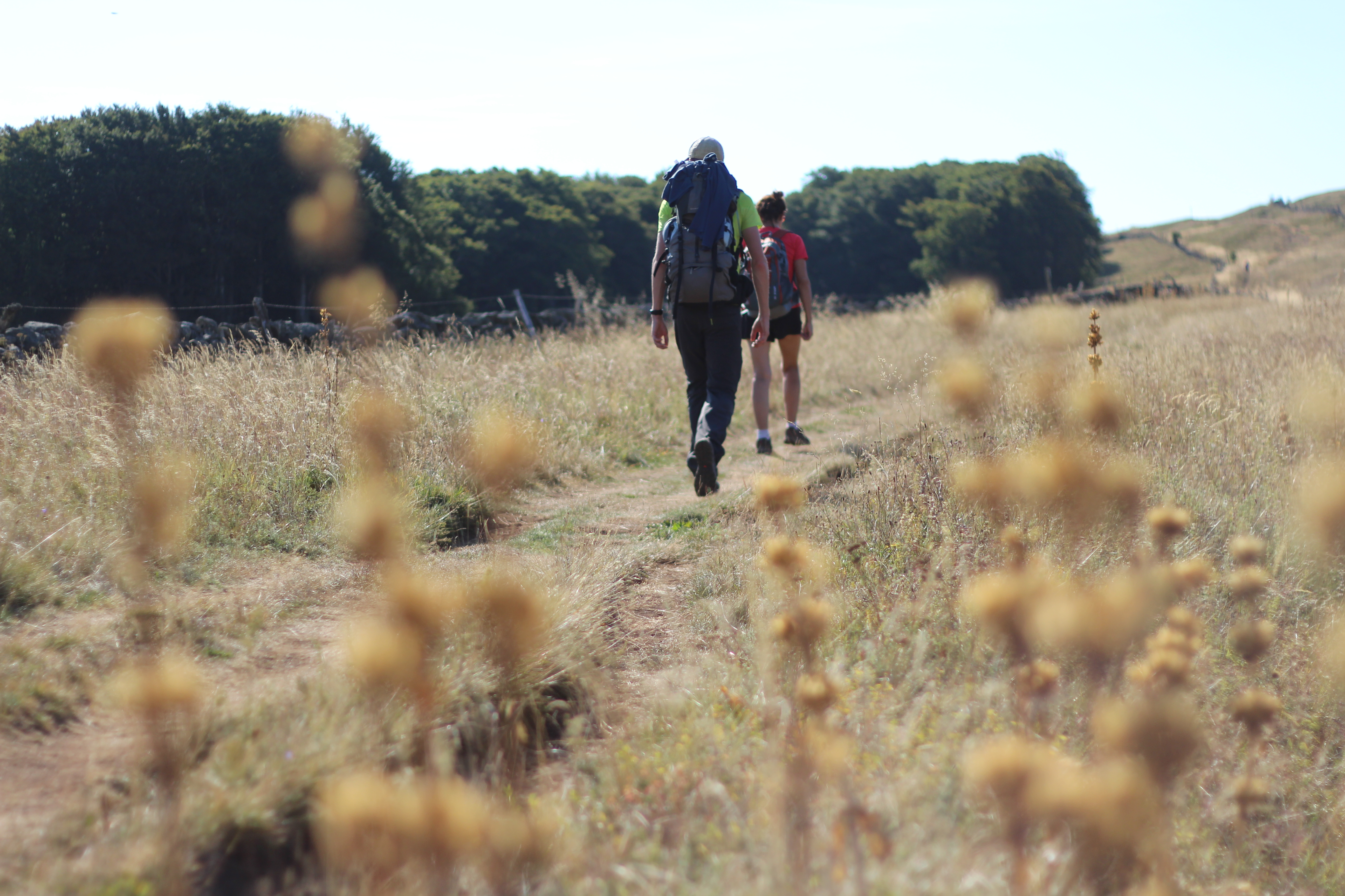 pelerins plateau aubrac sdelaunay