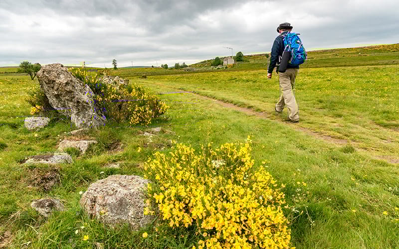 Pèlerin sur l'Aubrac en direction de Compostelle - AdobeStock
