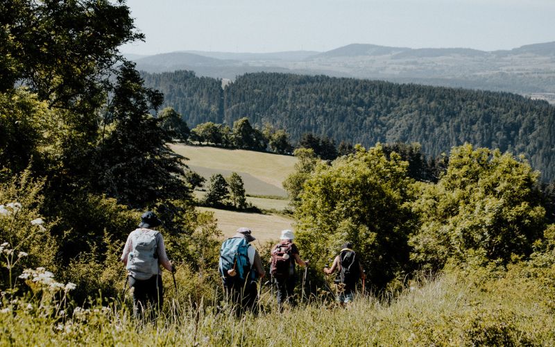 vers le puy en velay-aline warie