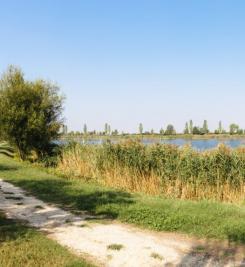 Paysage de la Plaine de Po
