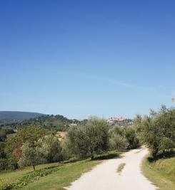 Chemin près de San-Gimignano