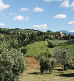 Paysage de la Toscane