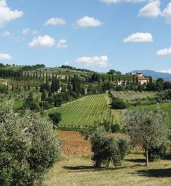 Paysage de la Toscane