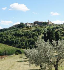 Paysage de la Toscane