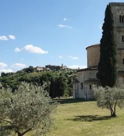 Campagne le long de la Via Francigena 