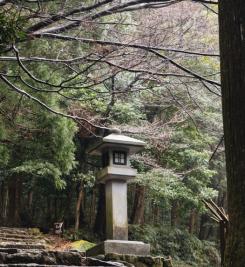 Paysage le long du Kumano Kodo