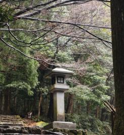 Paysage le long du Kumano Kodo