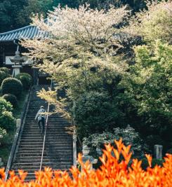 Temple de Shikoku