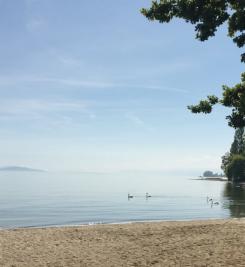 Au bord du Lac Léman