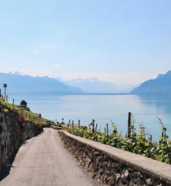 Chemin de randonnée le long du Lac Léman