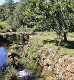 Campagne le long du Camino del Norte