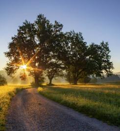 Paysage du Camino Primitivo