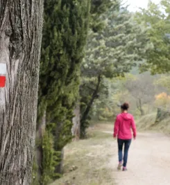 Randonnée sur le chemin d'Arles