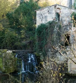 Randonnée à Grabels-de-Montpellier