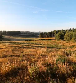 Paysage de l'Aubrac sur le chemin de Compostelle 