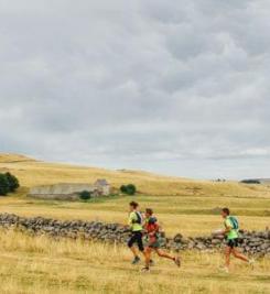 Plateau de l'Aubrac trail