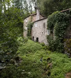 Randonnée dans la foret
