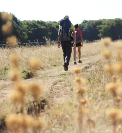 Pèlerins sur le plateau de l'Aubrac