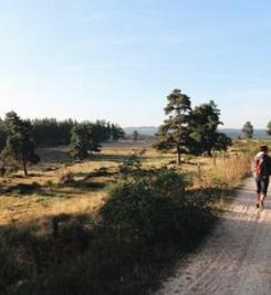 Pèlerin sur le plateau de l'Aubrac