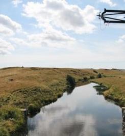 Plateau de l'Aubrac