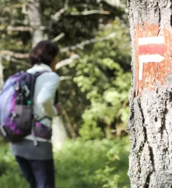 Randonneurs sur la Voie du Puy