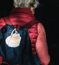 pelerin-coquille-saint-jacques