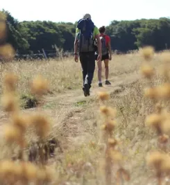 pelerins-plateau-aubrac