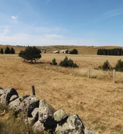 plateau-aubrac