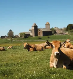 Plateau de l'Aubrac