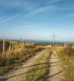 Chemin sur la voie du Puy