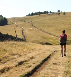 Randonneur sur le chemin de Compostelle