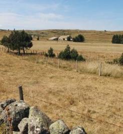 Plateau de l'Aubrac