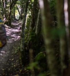 Chemin de Saint-Jacques-de-Compostelle