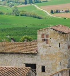 Vue de la tour Albinhac à Lectoure