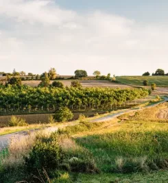 Paysage du Gers