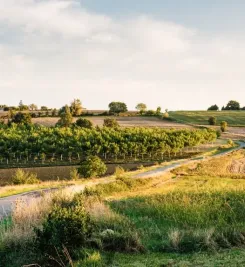 Paysage du Gers