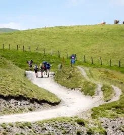 Pélerinage de Saint-Jacques-de-Compostelle, passage dans les Pyrénées