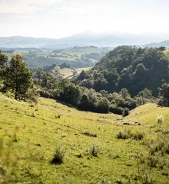 Randonnée dans les Pyrénées