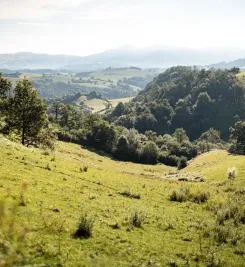 Randonnée dans les Pyrénées